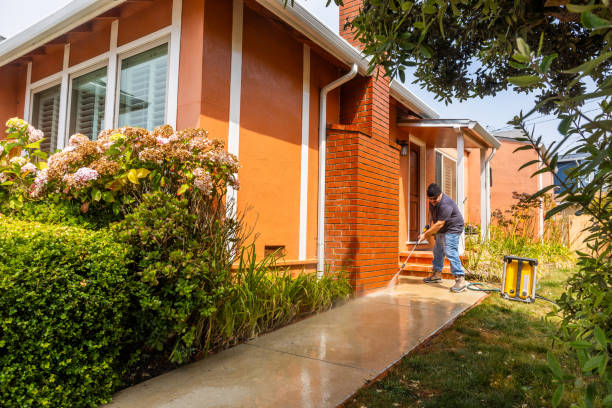 Best Pressure Washing Company Near Me  in Deer Park, IL