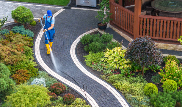 Best Pressure Washing Company Near Me  in Deer Park, IL